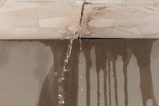 Professional Water Damage Inspection technician working in Easton, CT